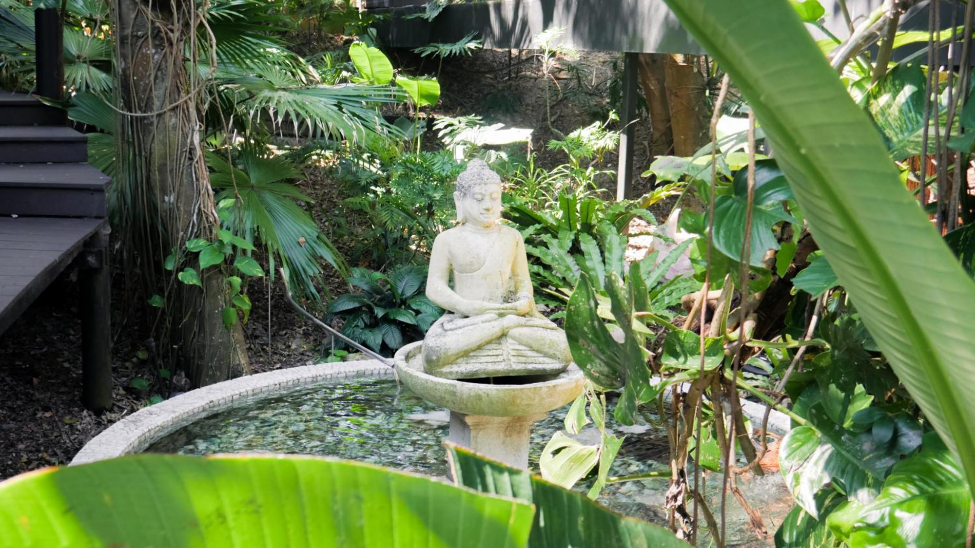 Hotel Shambhala @ Byron Byron Bay Exteriér fotografie