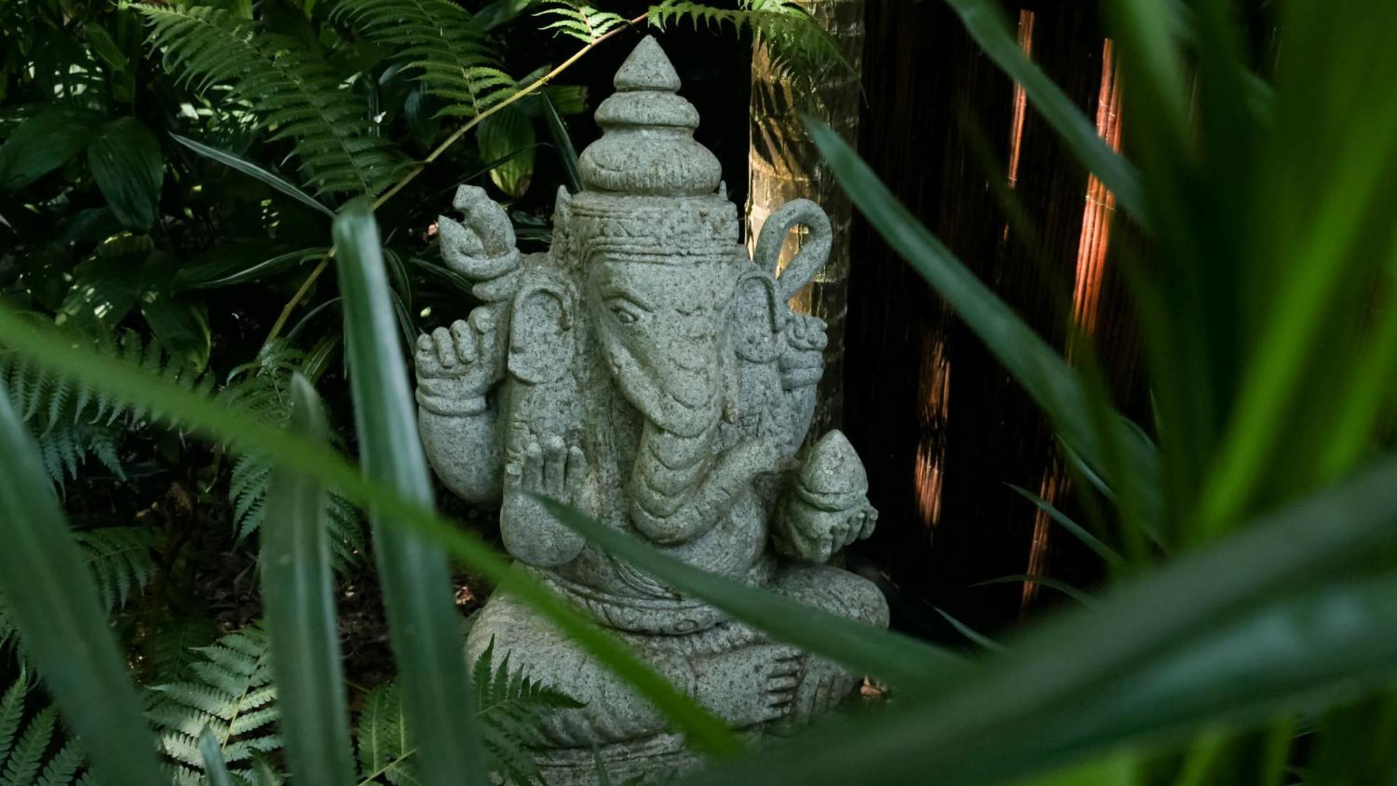 Hotel Shambhala @ Byron Byron Bay Exteriér fotografie