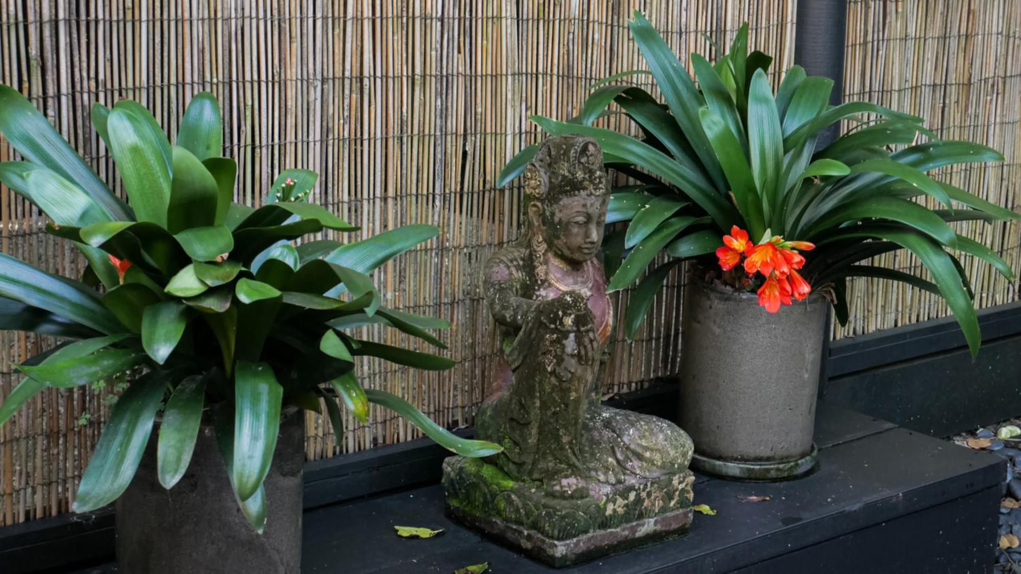 Hotel Shambhala @ Byron Byron Bay Exteriér fotografie